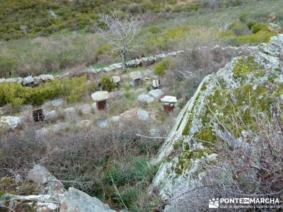 Sierra Alto Rey - Peña Mediodía; senderismo cerca de madrid; grupo de senderismo;rutas